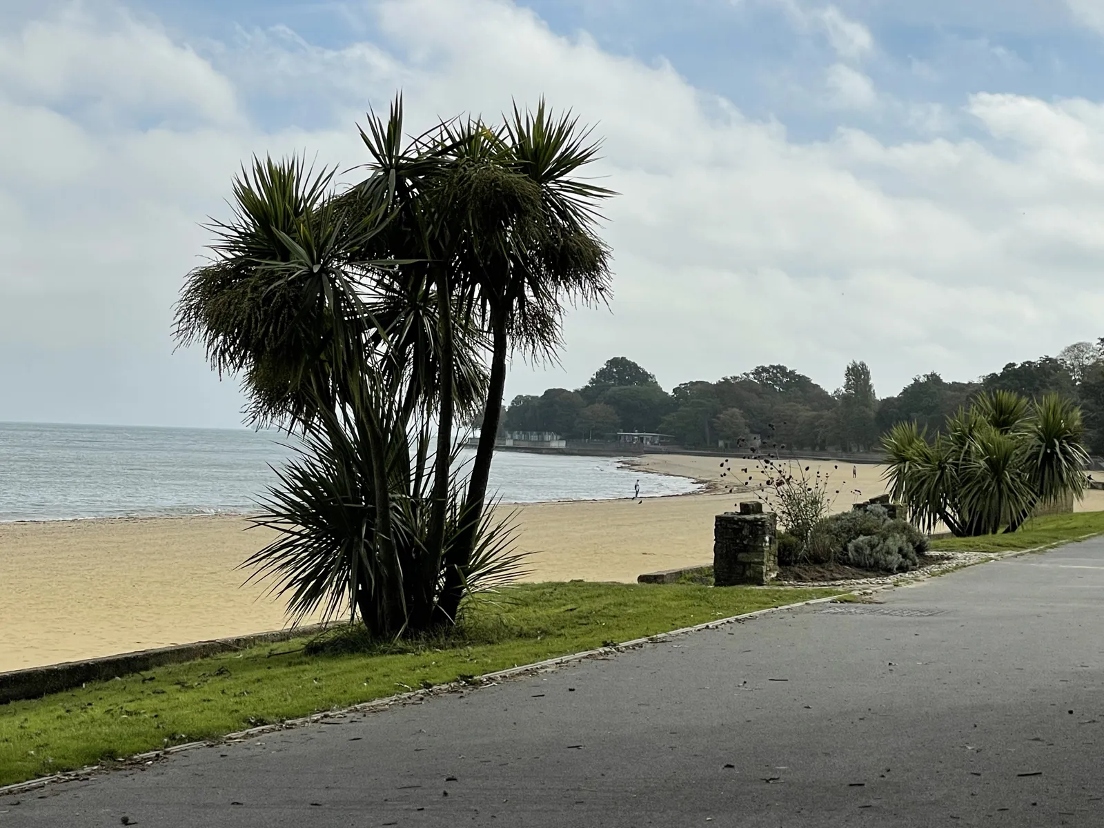 Palm trees beside a sandy seafront promenade on the Isle of Wight